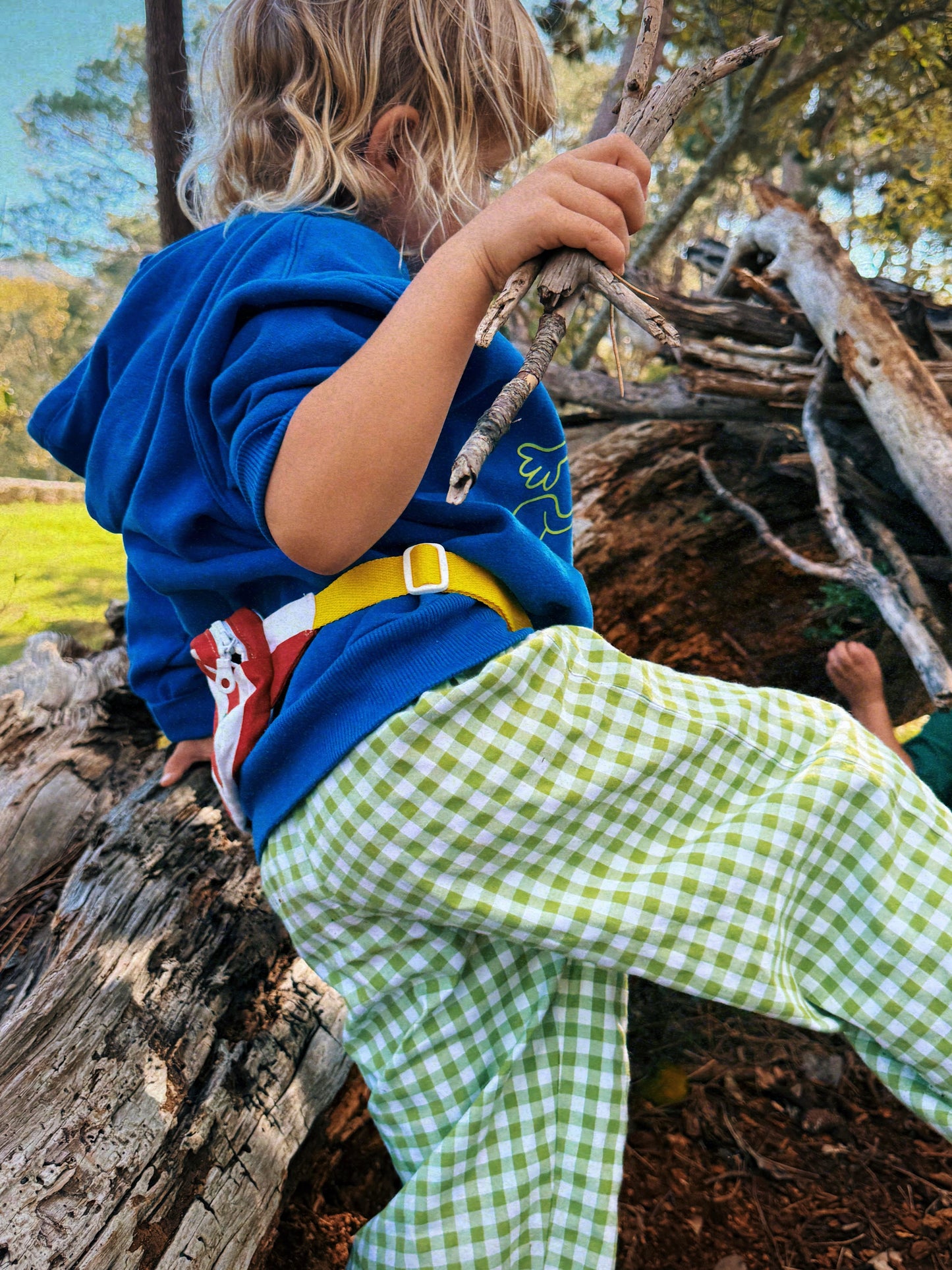 picnic pants | green