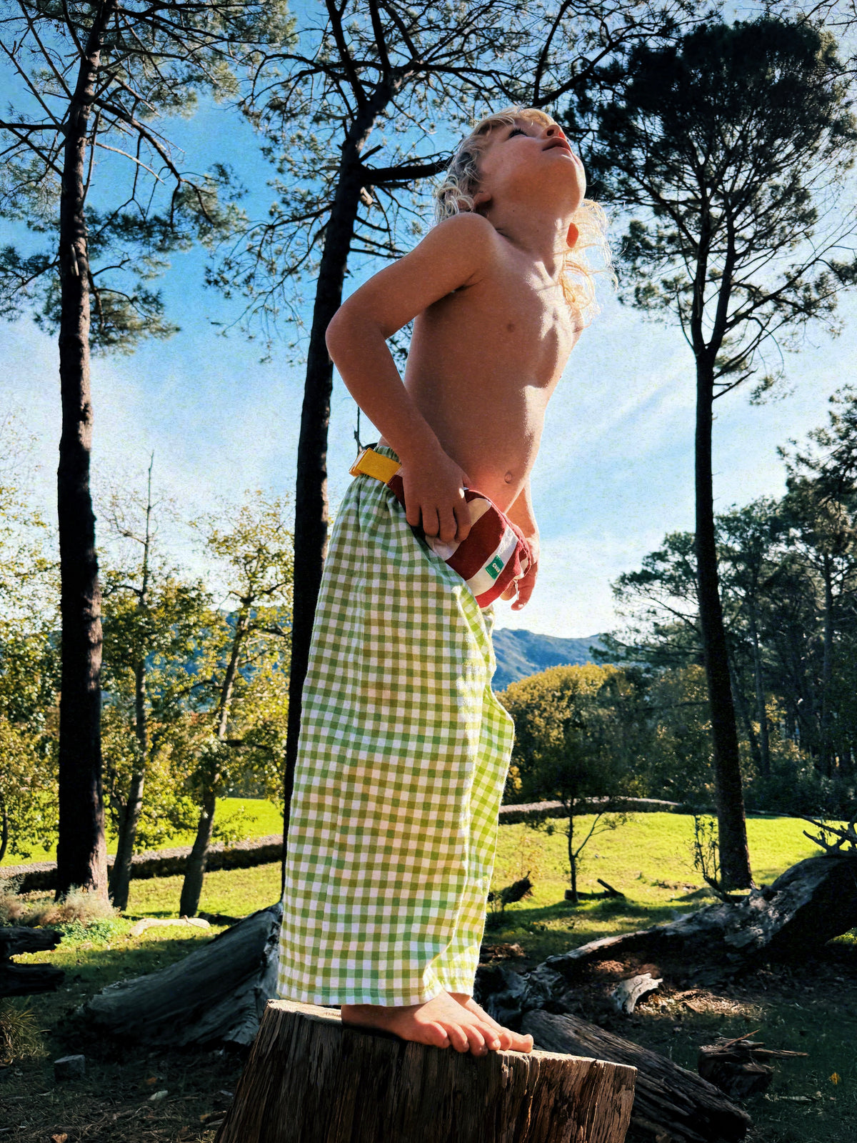 picnic pants | green