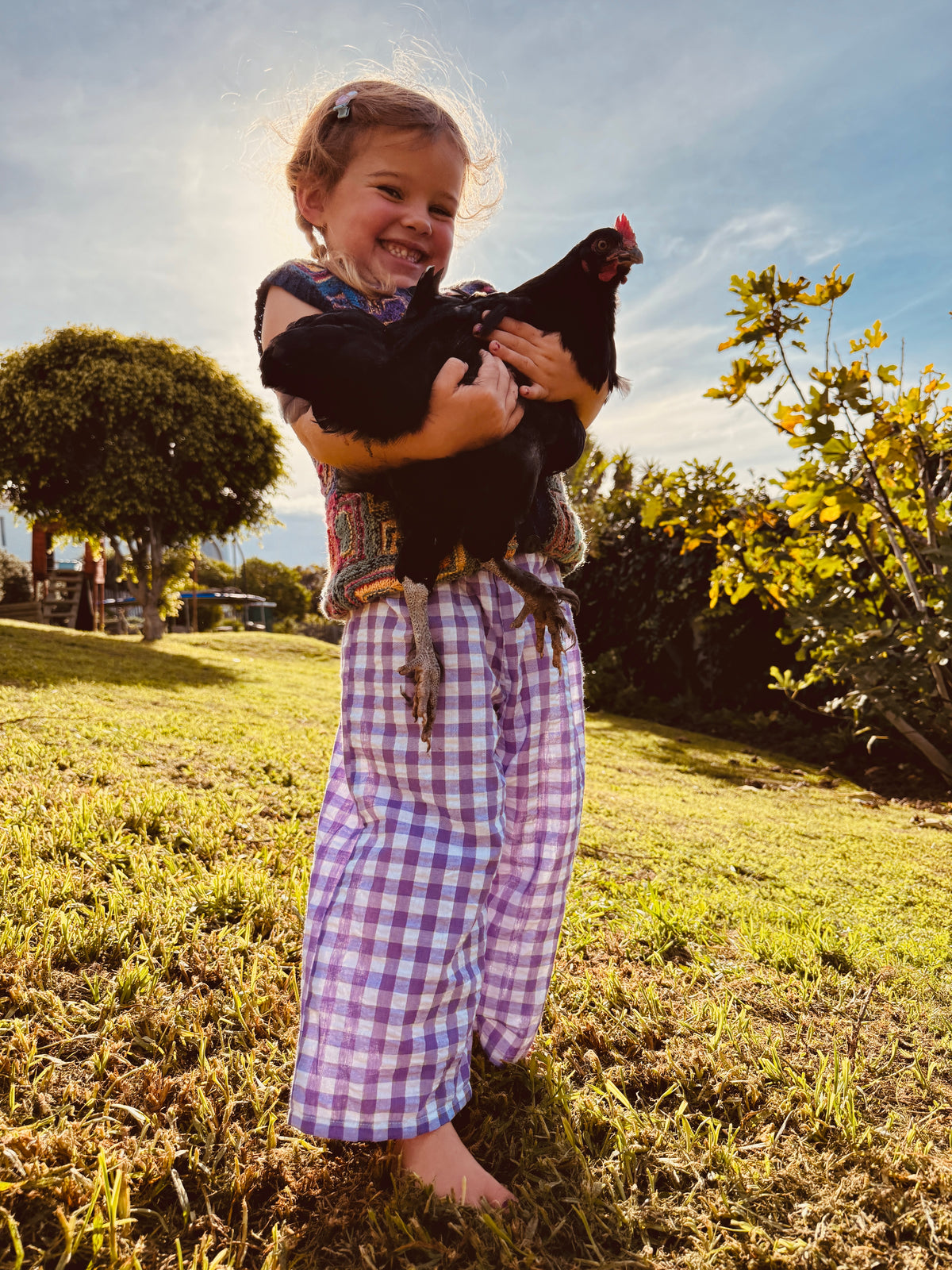 picnic pants | purple