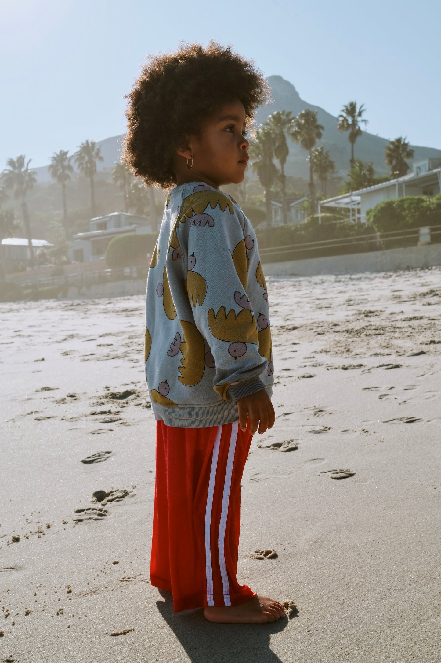 salty tracks | red